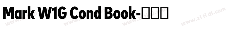 Mark W1G Cond Book字体转换 Mark W1G Cond Book字体转换